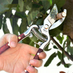 Garden Scissors Tool
